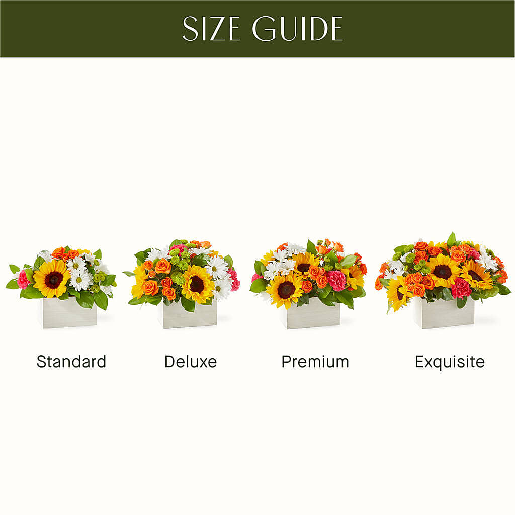 Sun-drenched Blooms Box Bouquet – HUTCHINSON'S FLOWERS INC, Sykesville MD