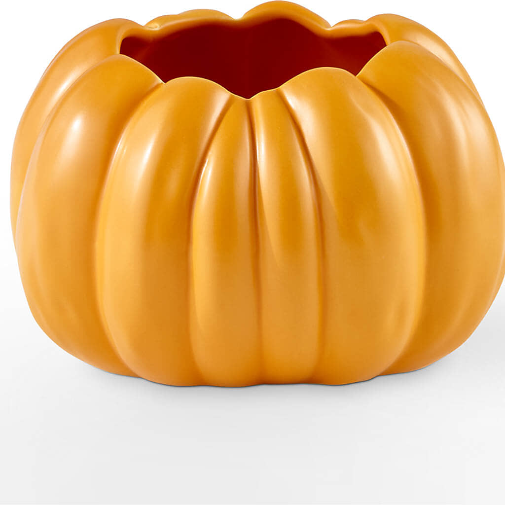Golden Gourd Pumpkin Bouquet – HUTCHINSON'S FLOWERS INC, Sykesville MD