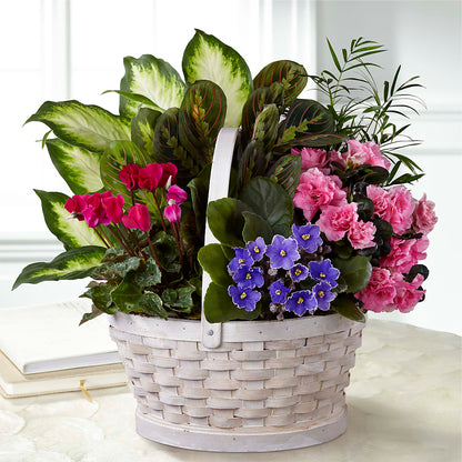 Peaceful Garden Planter – HUTCHINSON'S FLOWERS INC, Sykesville MD