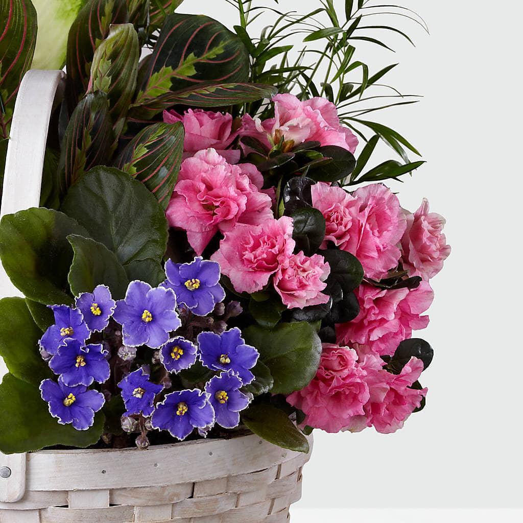 Peaceful Garden Planter – HUTCHINSON'S FLOWERS INC, Sykesville MD