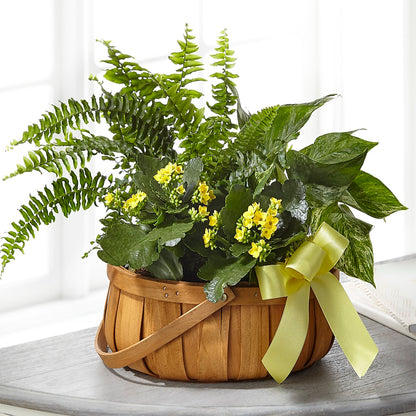 Always Dear Dishgarden – HUTCHINSON'S FLOWERS INC, Sykesville MD
