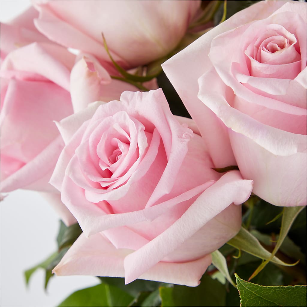 Picture Perfect Pink Rose Bouquet – HUTCHINSON'S FLOWERS INC, Sykesville MD