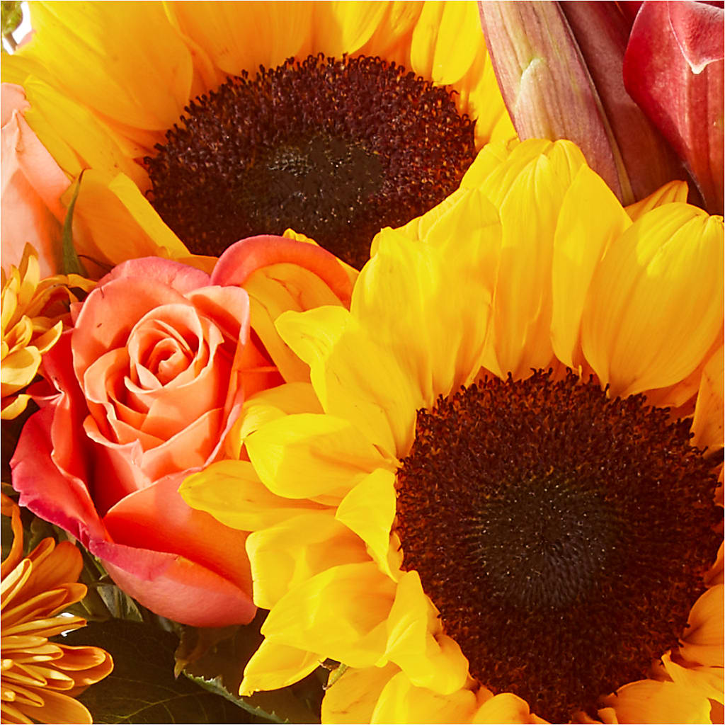 Acorn Lane Bouquet – HUTCHINSON'S FLOWERS INC, Sykesville MD