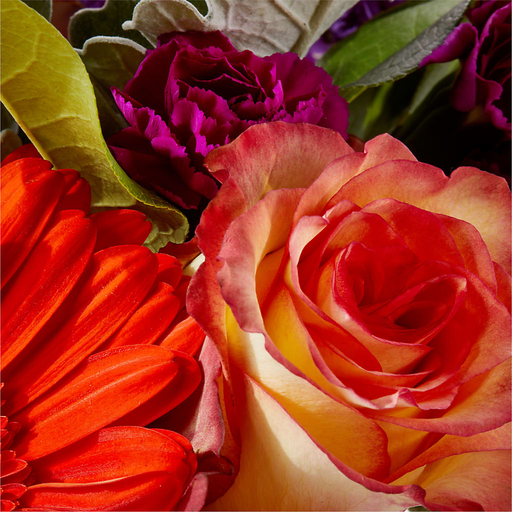 Sangria Bouquet – HUTCHINSON'S FLOWERS INC, Sykesville MD