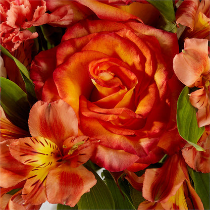 Apricot Glow Bouquet – HUTCHINSON'S FLOWERS INC, Sykesville MD