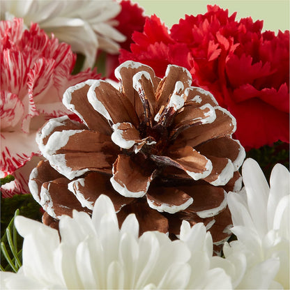 Candy Cane Lane Bouquet – HUTCHINSON'S FLOWERS INC, Sykesville MD