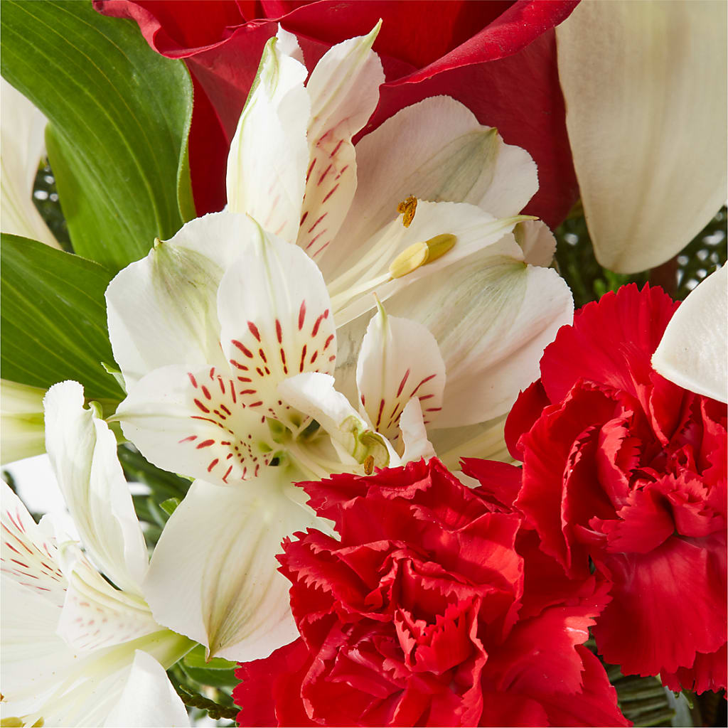 Holiday Season Bouquet – HUTCHINSON'S FLOWERS INC, Sykesville MD
