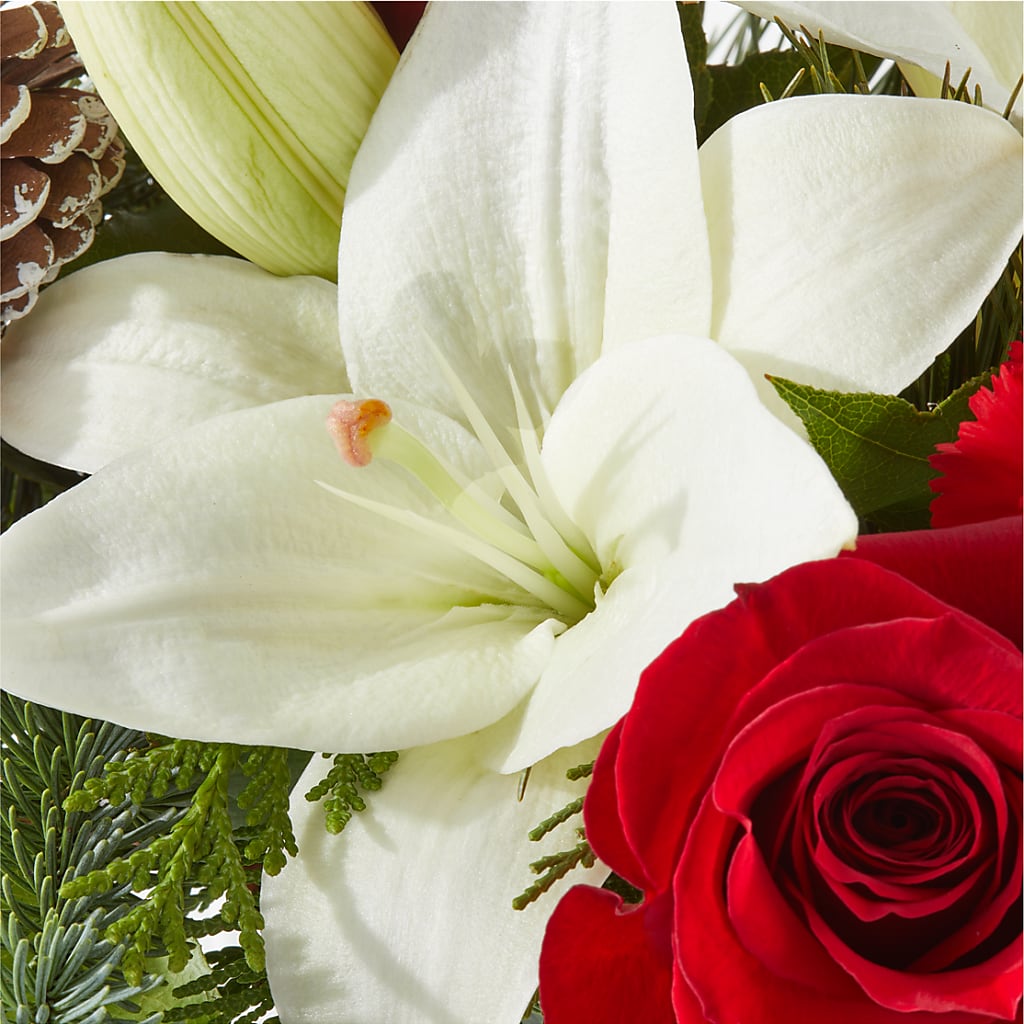 Oh So Jolly Bouquet – HUTCHINSON'S FLOWERS INC, Sykesville MD