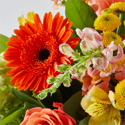 Autumn Sunshine Bouquet – HUTCHINSON'S FLOWERS INC, Sykesville MD