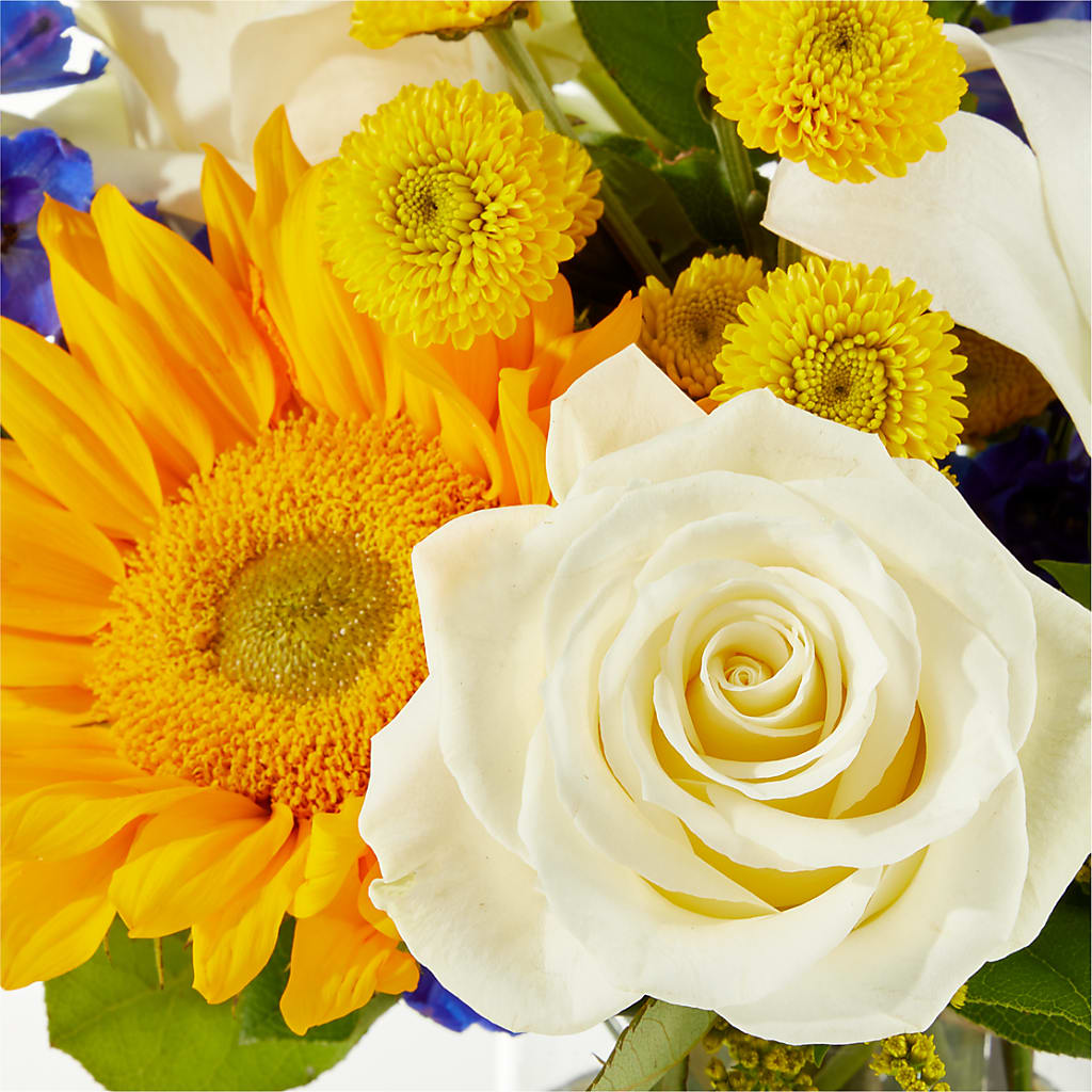 Stargazing Bouquet – HUTCHINSON'S FLOWERS INC, Sykesville MD