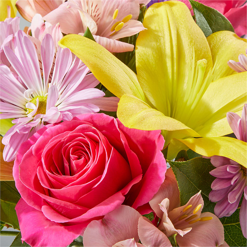 Sprinkles Bouquet – HUTCHINSON'S FLOWERS INC, Sykesville MD