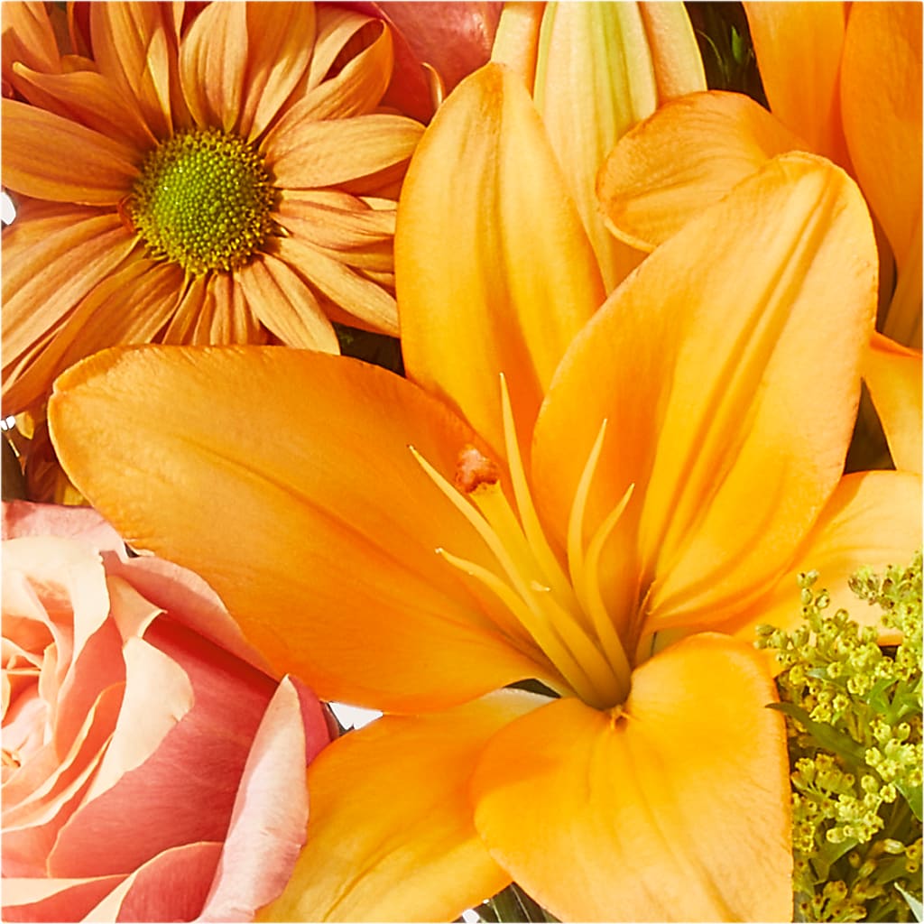 Harvest Hayride Bouquet – HUTCHINSON'S FLOWERS INC, Sykesville MD