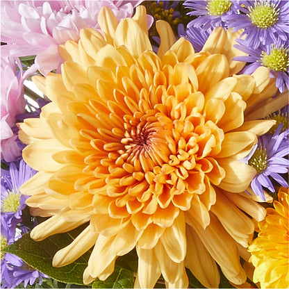 Countryside Bouquet – HUTCHINSON'S FLOWERS INC, Sykesville MD