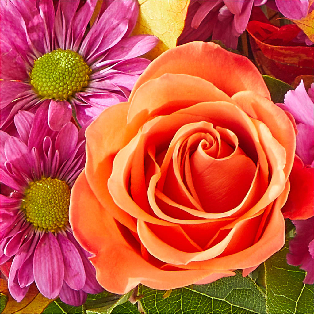 Mum's the Word Bouquet – HUTCHINSON'S FLOWERS INC, Sykesville MD