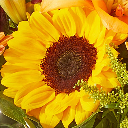 Seasons Change Bouquet – HUTCHINSON'S FLOWERS INC, Sykesville MD