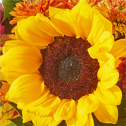 Sunny Side Bouquet – HUTCHINSON'S FLOWERS INC, Sykesville MD