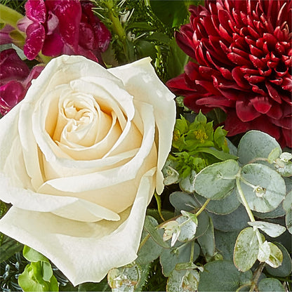 Cranberry Fizz Bouquet – HUTCHINSON'S FLOWERS INC, Sykesville MD