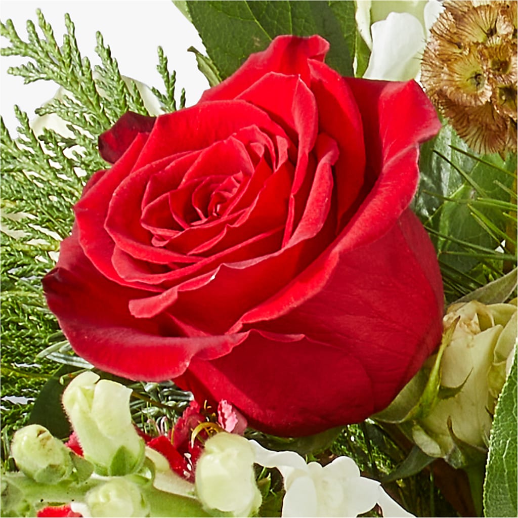 Deck the Halls Bouquet – HUTCHINSON'S FLOWERS INC, Sykesville MD