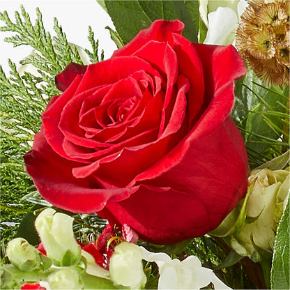 Deck the Halls Bouquet – HUTCHINSON'S FLOWERS INC, Sykesville MD
