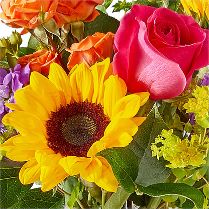 Vibrant Greetings Bouquet – HUTCHINSON'S FLOWERS INC, Sykesville MD