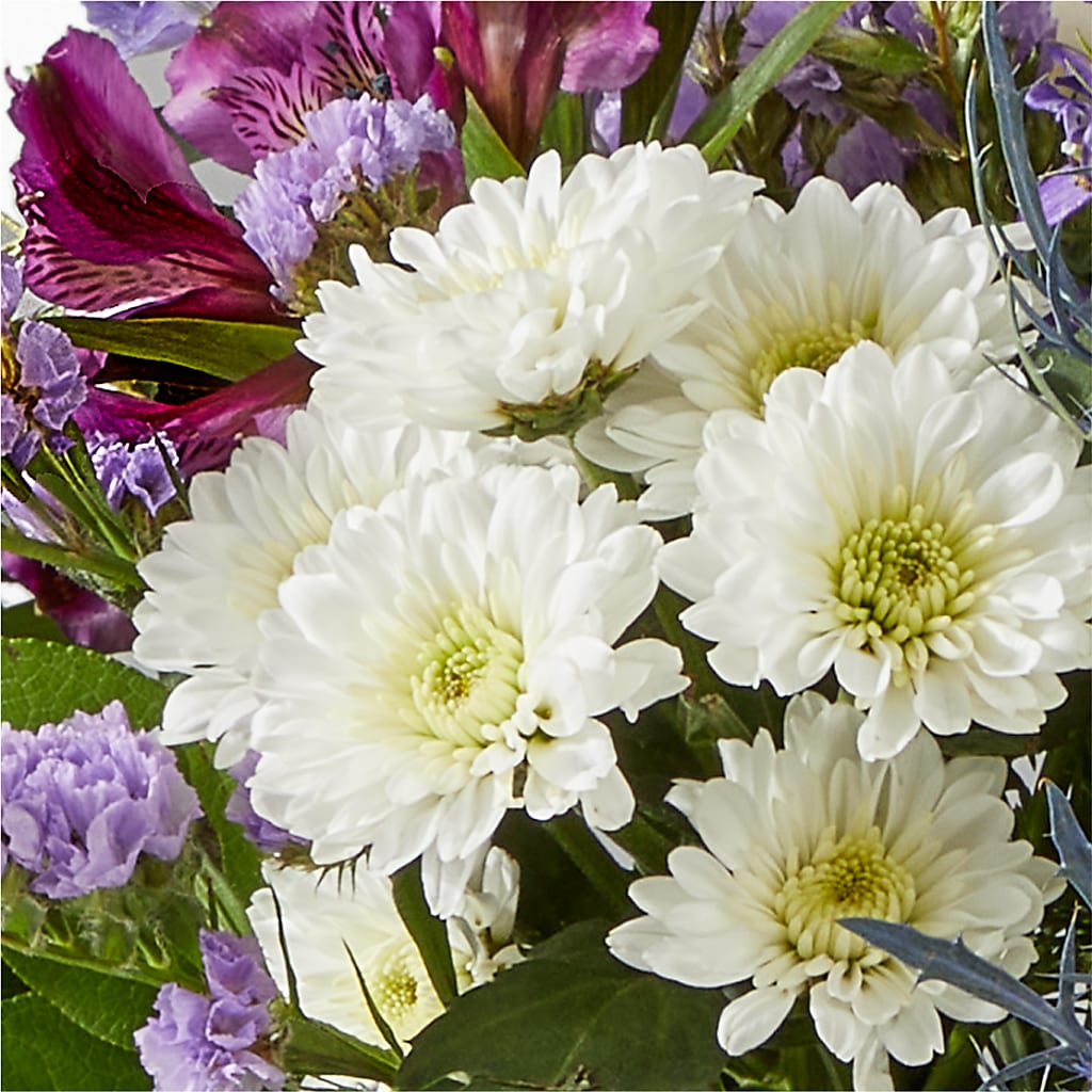 Shooting Star Bouquet – HUTCHINSON'S FLOWERS INC, Sykesville MD