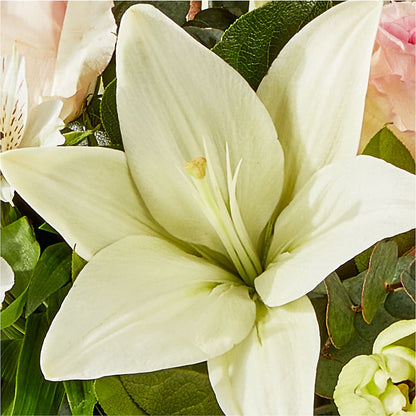 Ballet Slippers Bouquet – HUTCHINSON'S FLOWERS INC, Sykesville MD