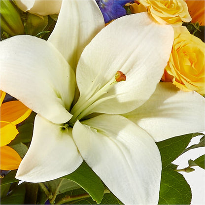 Wonderfully Sunny Bouquet – HUTCHINSON'S FLOWERS INC, Sykesville MD