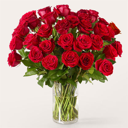 The One Red Rose Bouquet – HUTCHINSON'S FLOWERS INC, Sykesville MD