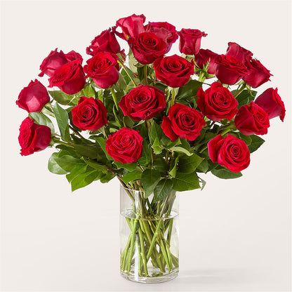 The One Red Rose Bouquet – HUTCHINSON'S FLOWERS INC, Sykesville MD