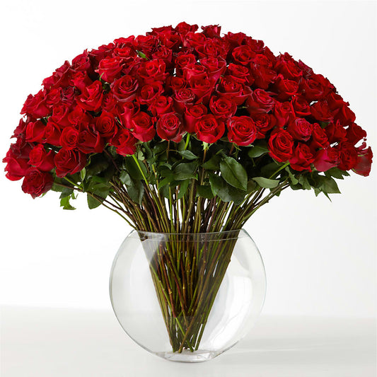 The Idealist – HUTCHINSON'S FLOWERS INC, Sykesville MD