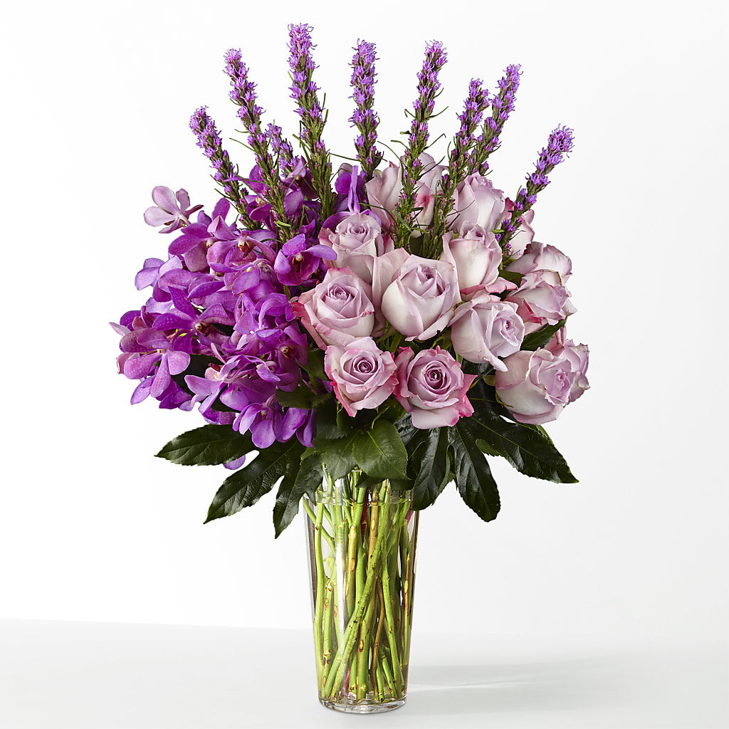 The Maximalist – HUTCHINSON'S FLOWERS INC, Sykesville MD