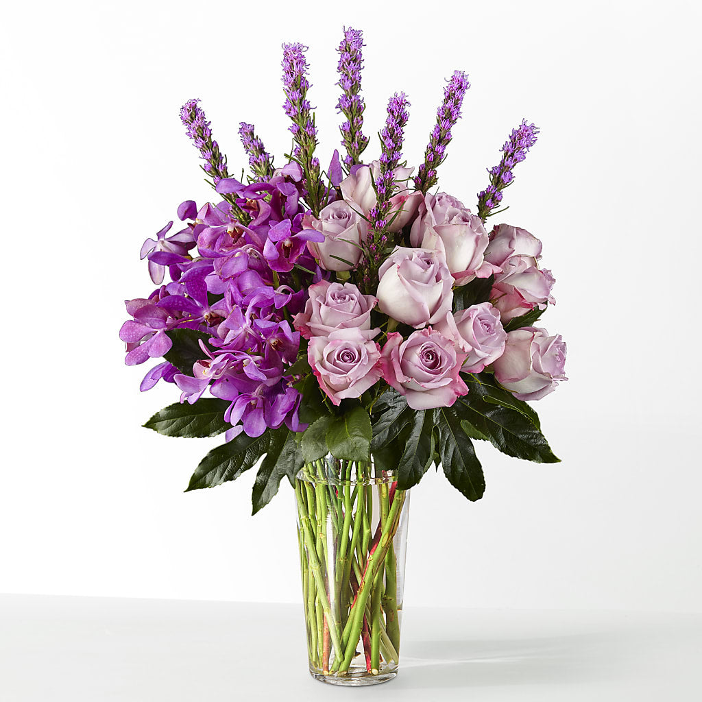 The Maximalist – HUTCHINSON'S FLOWERS INC, Sykesville MD