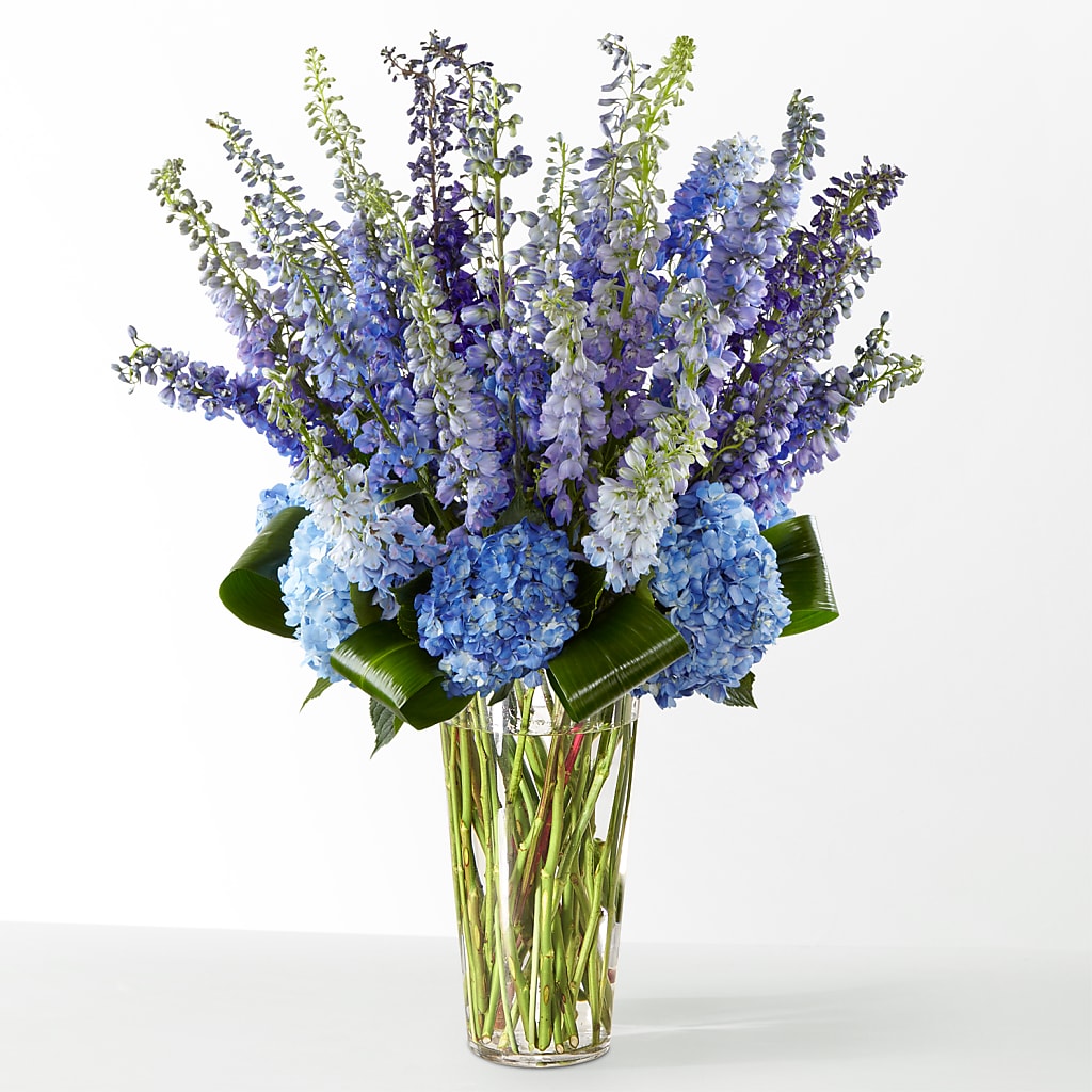 The Editorial – HUTCHINSON'S FLOWERS INC, Sykesville MD