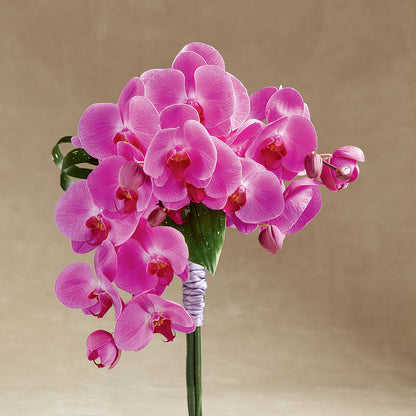 Glorious Bouquet – HUTCHINSON'S FLOWERS INC, Sykesville MD