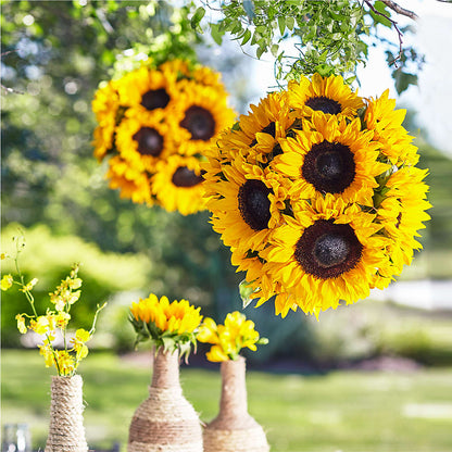 Sublime Garden Hanging Arrangement – HUTCHINSON'S FLOWERS INC, Sykesville MD