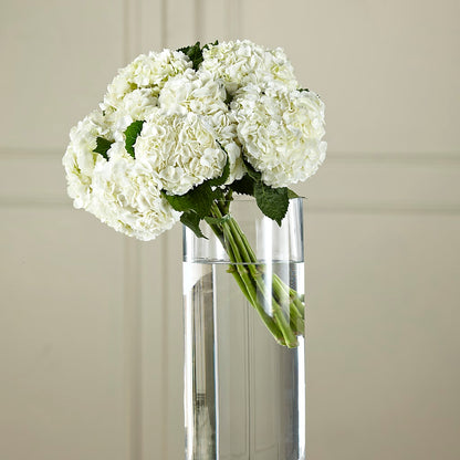 White Hydrangea Hand-Tied Bouquet – HUTCHINSON'S FLOWERS INC, Sykesville MD