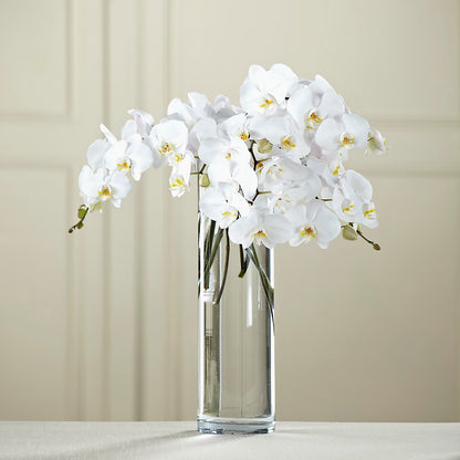 White Phalaenopsis Bouquet – HUTCHINSON'S FLOWERS INC, Sykesville MD