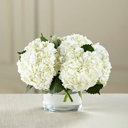 White Hydrangea Bouquet – HUTCHINSON'S FLOWERS INC, Sykesville MD