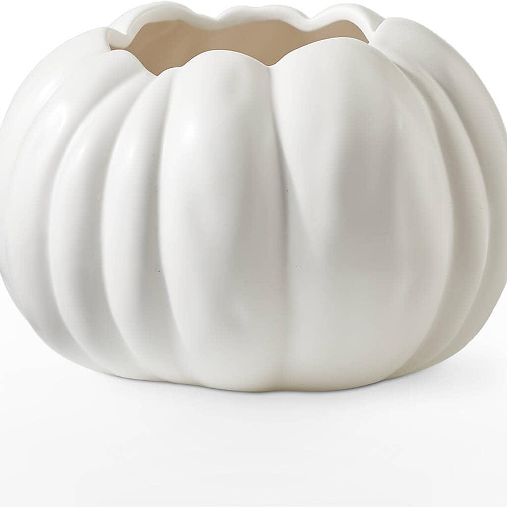 Pumpkin to Talk About Bouquet – HUTCHINSON'S FLOWERS INC, Sykesville MD